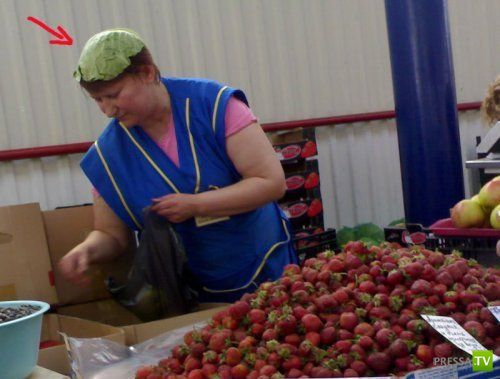 ���������� � ������� �������� (25 ����)