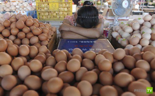 ���������� � ������� �������� (25 ����)