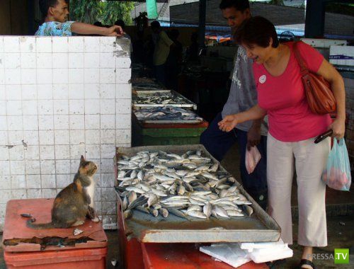 ���������� � ������� �������� (25 ����)