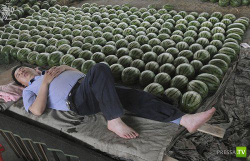 ���������� � ������� �������� (25 ����)