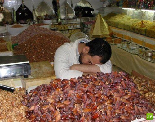 ���������� � ������� �������� (25 ����)