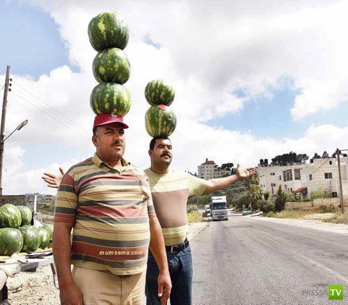 ���������� � ������� �������� (25 ����)