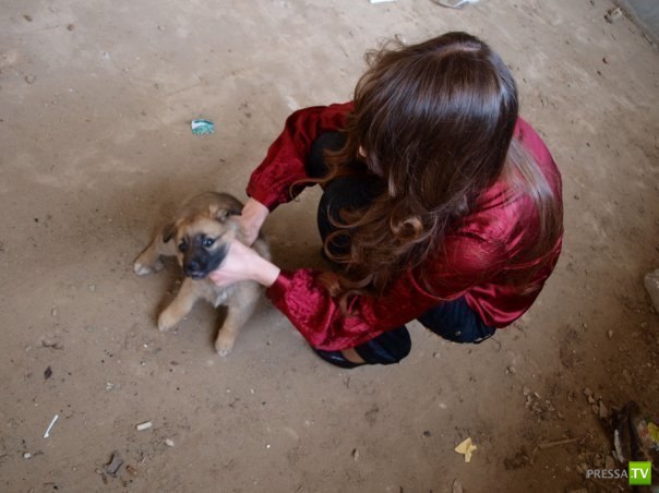 Девица из Татарстана убила щенка ради эротичной фотосессии (6 фото)