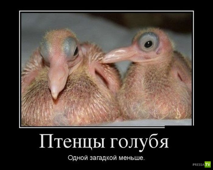 ������������ �� ����, ����� 19 (30 ����)