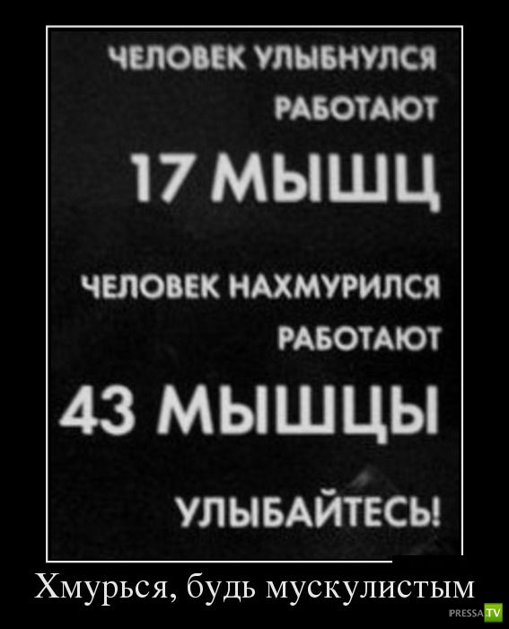 ������������ �� ����, ����� 19 (30 ����)