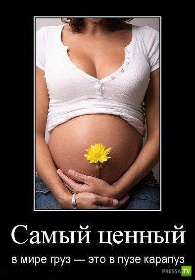 ������������ �� ����, ����� 19 (30 ����)