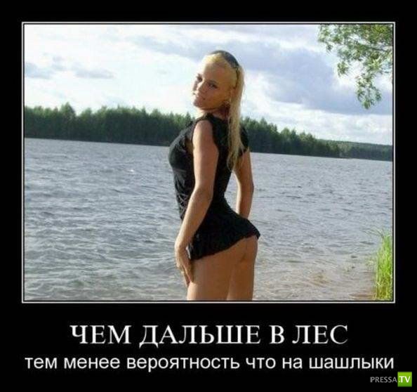 ������������ �� ����, ����� 19 (30 ����)