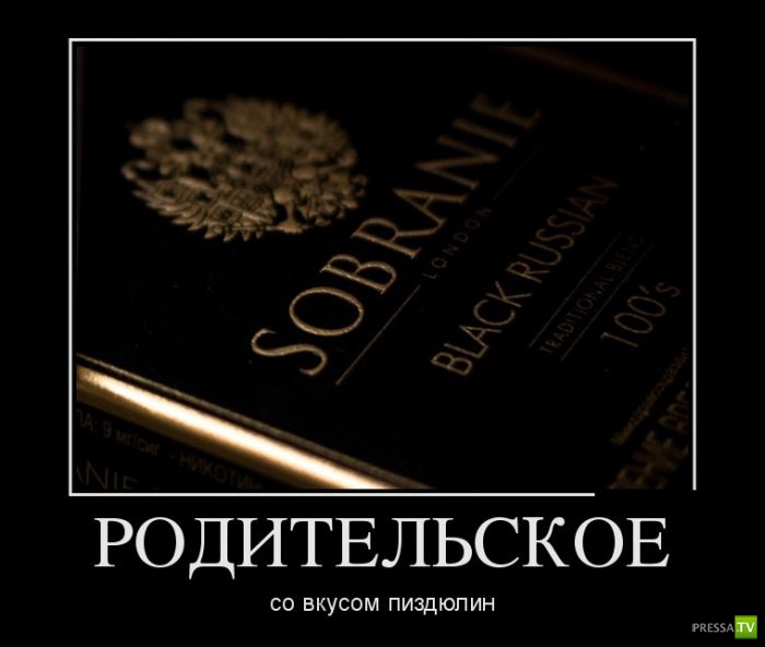 ������������ �� ����, ����� 19 (30 ����)