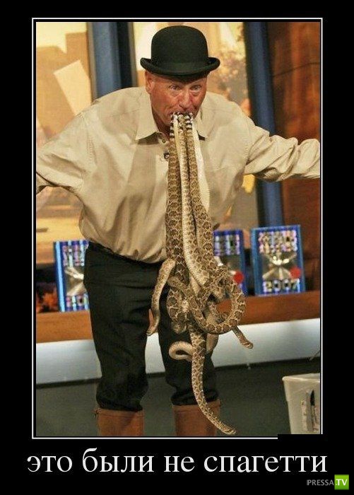 ������������ �� ����, ����� 19 (30 ����)