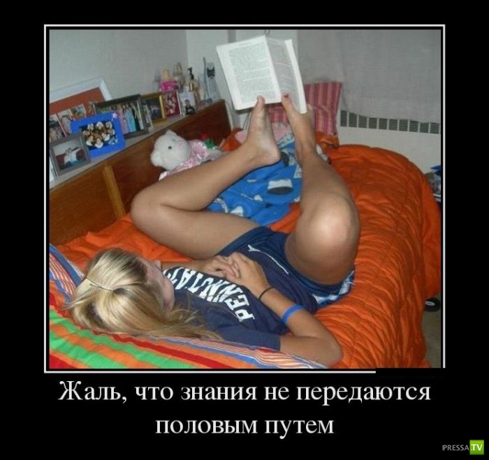 ������������ �� ����, ����� 19 (30 ����)