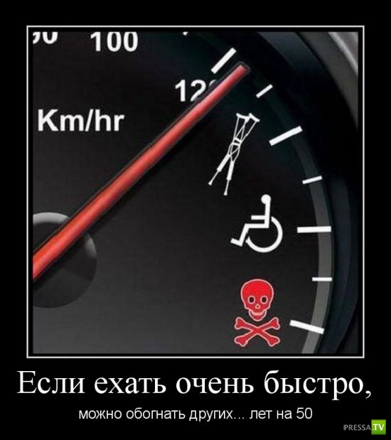 ������������ �� ����, ����� 19 (30 ����)