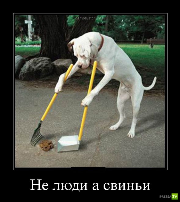 ������������ �� ����, ����� 20 (30 ����)