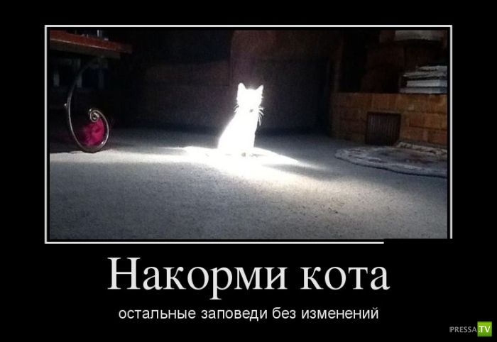 ������������ �� ����, ����� 20 (30 ����)