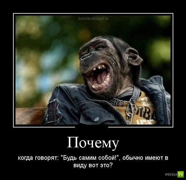 ������������ �� ����, ����� 20 (30 ����)