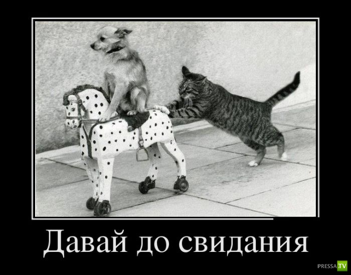 ������������ �� ����, ����� 20 (30 ����)