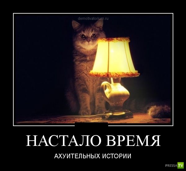 ������������ �� ����, ����� 20 (30 ����)