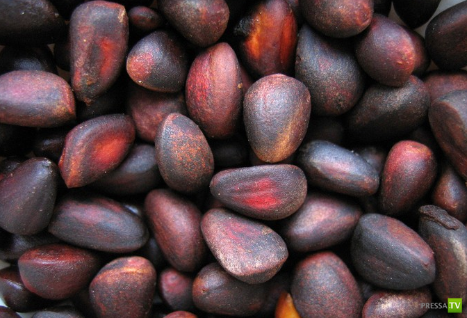 ����������� ��� � ������� ��������� (11 ����)