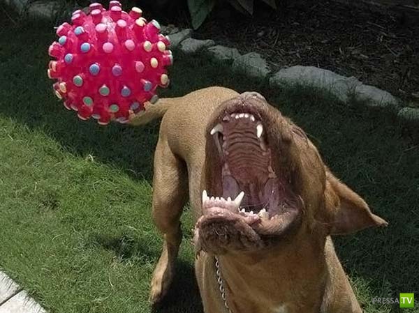 ��������� ������� (14 ����)