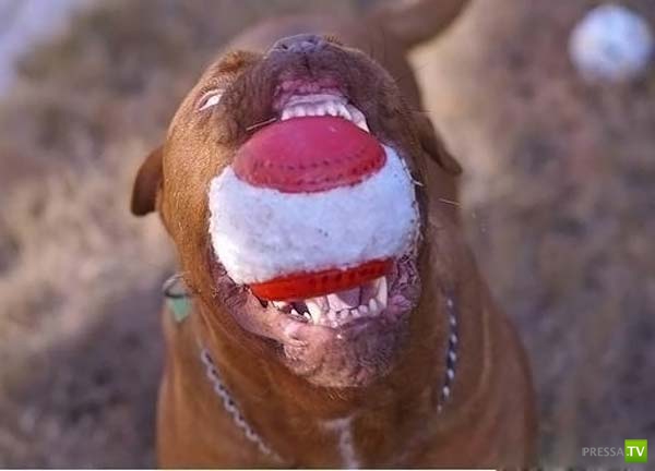 ��������� ������� (14 ����)