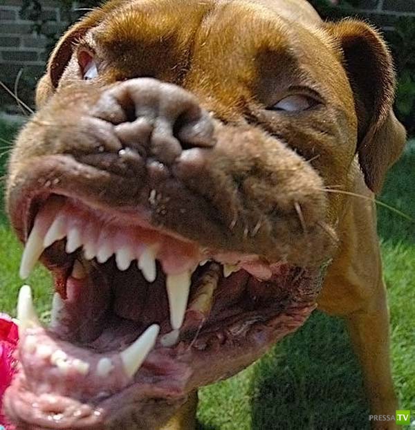 ��������� ������� (14 ����)