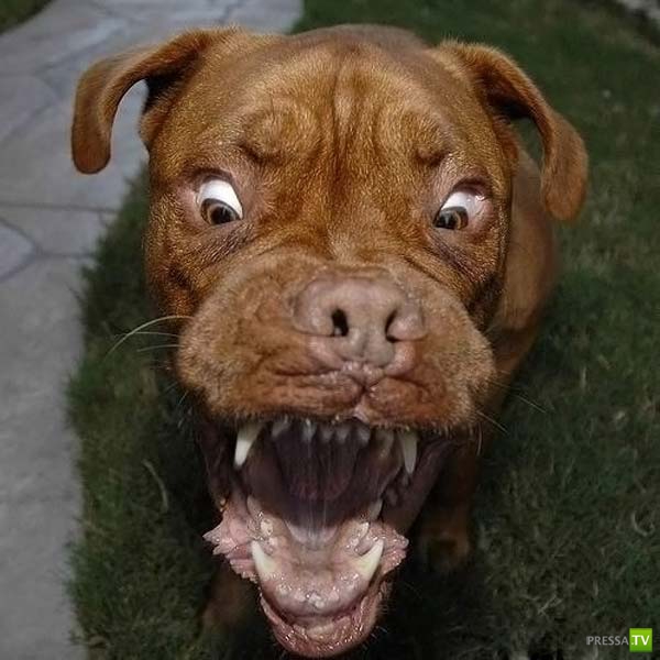 ��������� ������� (14 ����)