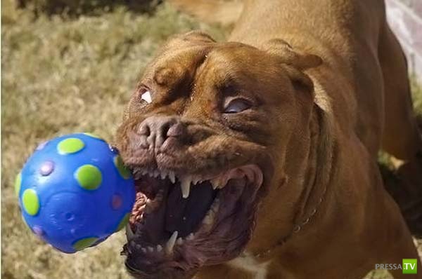 ��������� ������� (14 ����)