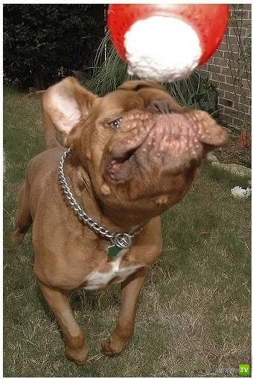 ��������� ������� (14 ����)