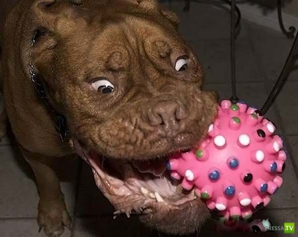 ��������� ������� (14 ����)