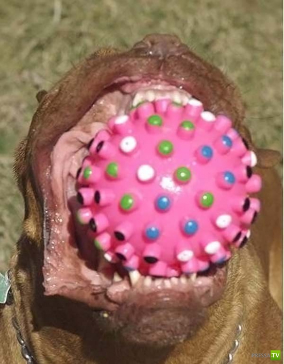 ��������� ������� (14 ����)