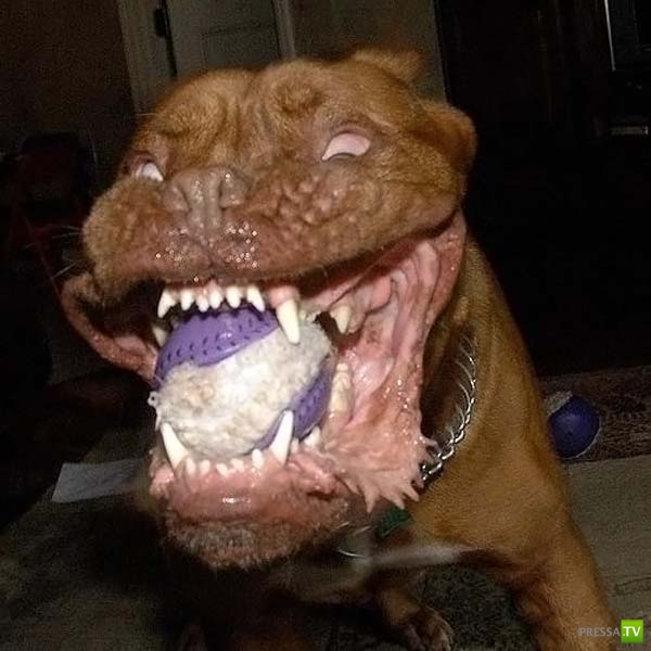 ��������� ������� (14 ����)