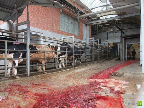 ���� � ���� �� ��������� �� ���������� (3 ����)