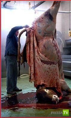 ���� � ���� �� ��������� �� ���������� (3 ����)