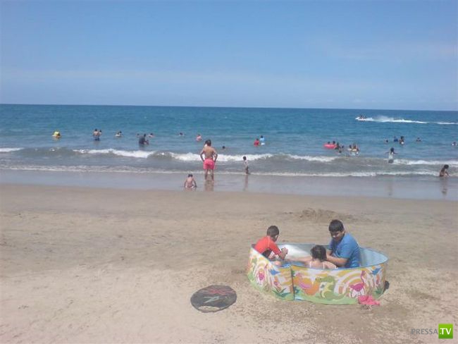 ������� ������� (39 ����)