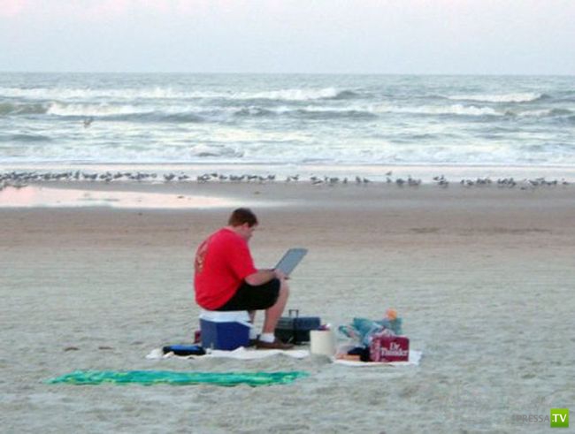 ������� ������� (39 ����)