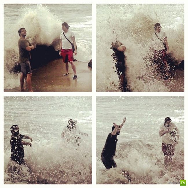 ������� ������� (39 ����)