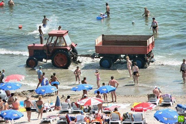 ������� ������� (39 ����)