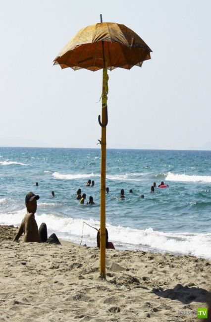 ������� ������� (39 ����)