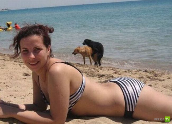 ������� ������� (39 ����)