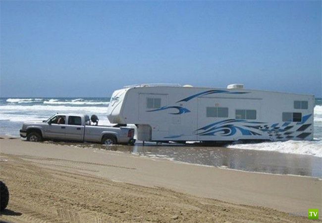 ������� ������� (39 ����)