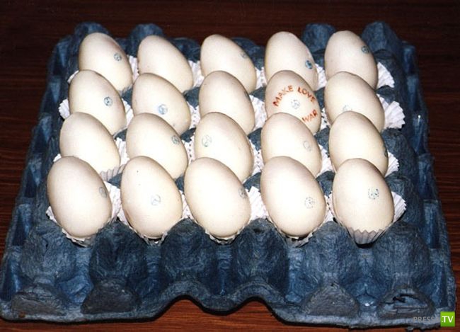 ��� ��� �� ����? (29 ����)