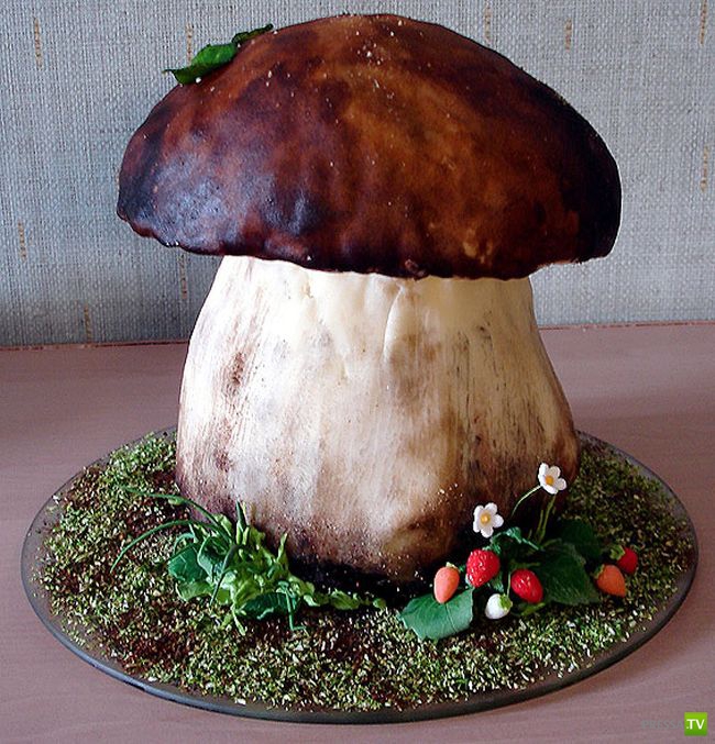 ��� ��� �� ����? (29 ����)