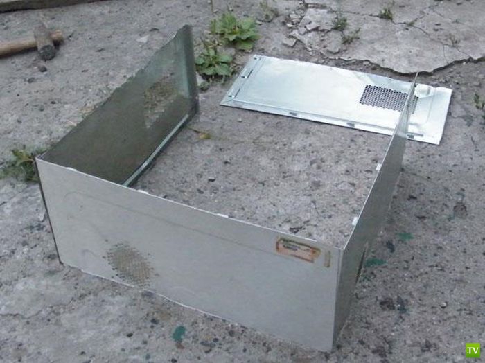 ��� ������� IT-������ �� ��������� ������� (10 ����)