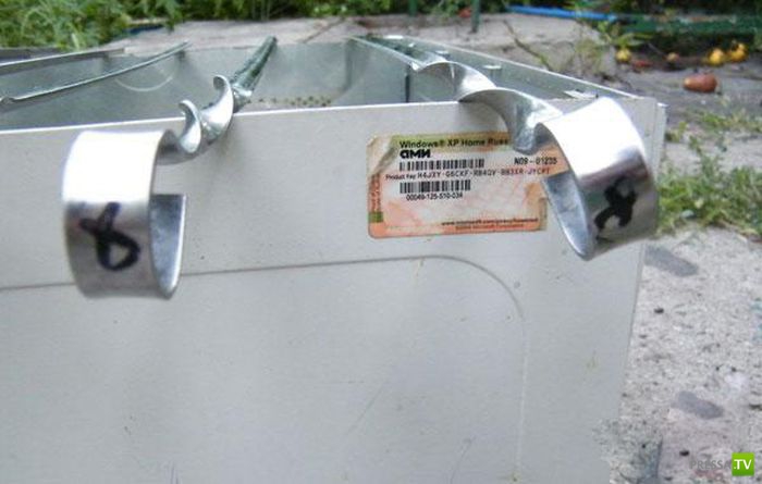 ��� ������� IT-������ �� ��������� ������� (10 ����)