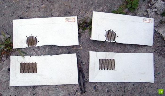 ��� ������� IT-������ �� ��������� ������� (10 ����)