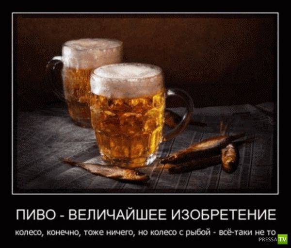 ������������ �� ������, ����� 10 (31 ����)