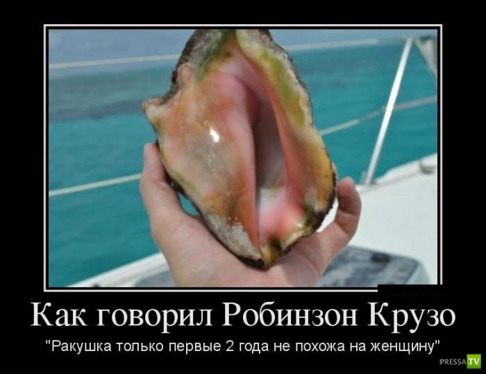 ������������ �� ������, ����� 10 (31 ����)