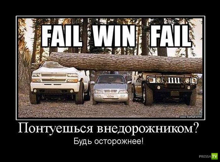 ������������ �� ������, ����� 10 (31 ����)