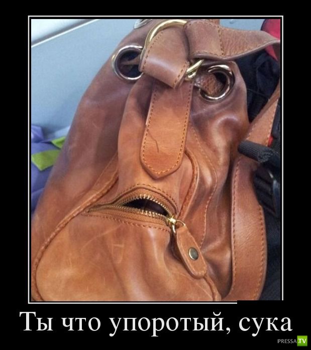 ������������ �� ������, ����� 10 (31 ����)