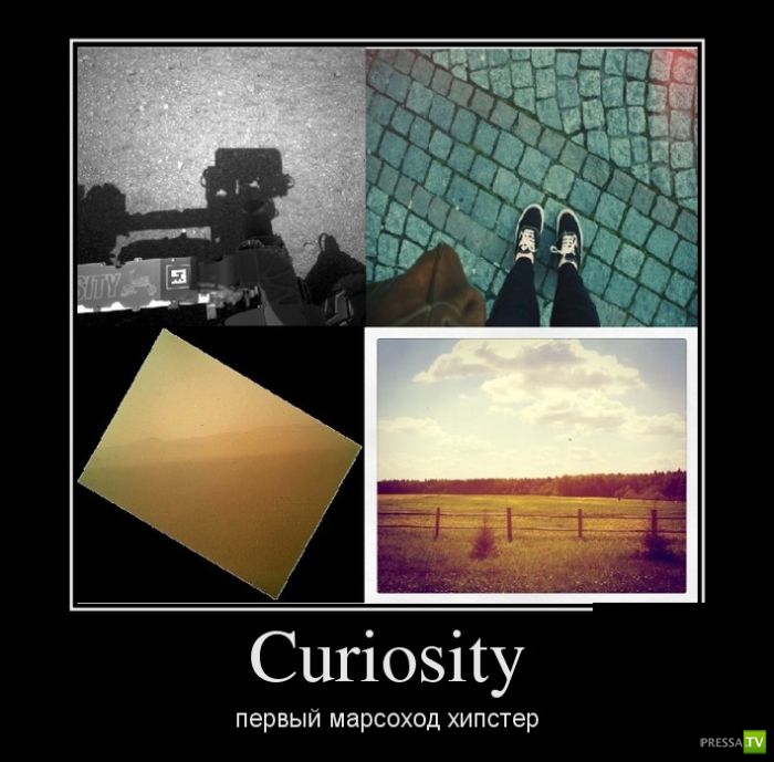 ������������ �� ������, ����� 10 (31 ����)