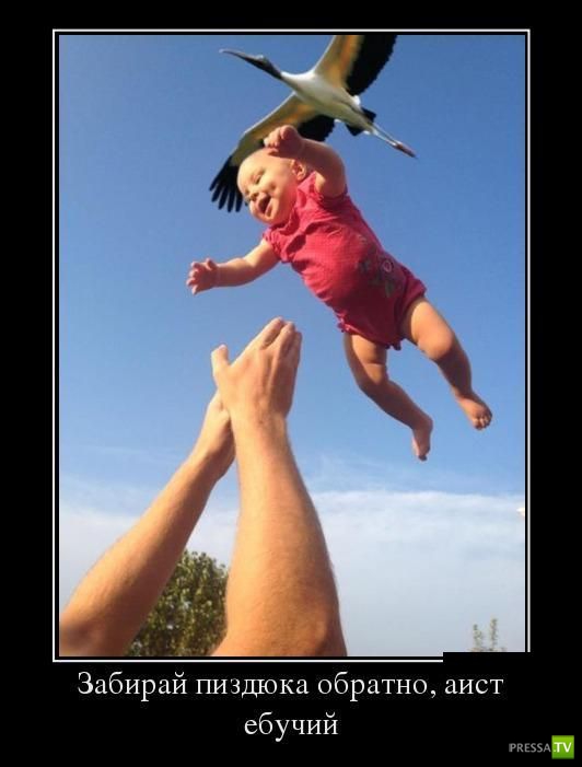 ������������ �� ������, ����� 10 (31 ����)